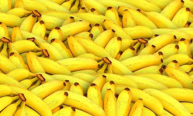 ¿Por qué comer plátano es bueno para tu salud?