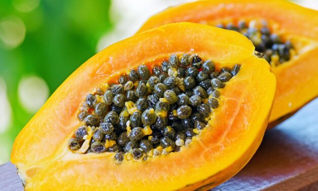 Semillas de papaya, la mejor solución natural para desintoxicar el hígado