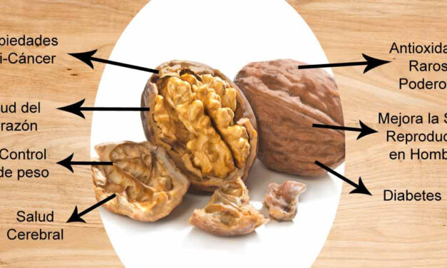 Comer nueces aumenta esperanza de vida y reduce riesgo de infarto