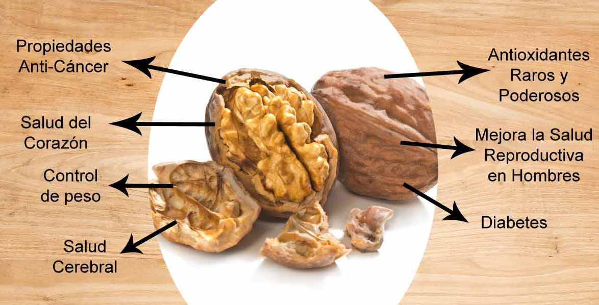 Comer nueces aumenta esperanza de vida y reduce riesgo de infarto