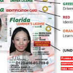 ¿Cómo obtener un carné de identidad de la Florida siendo turista?