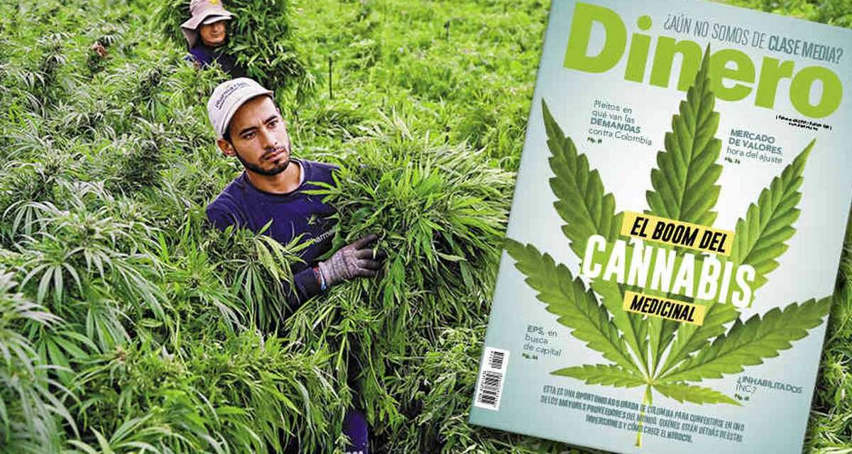 Petro abre a la comercialización de la marihuana en Colombia