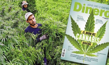 Petro abre a la comercialización de la marihuana en Colombia