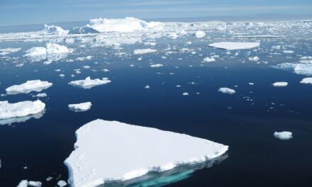 Antártida se hace agua: los enormes riesgos del deshielo del continente más frío del planeta