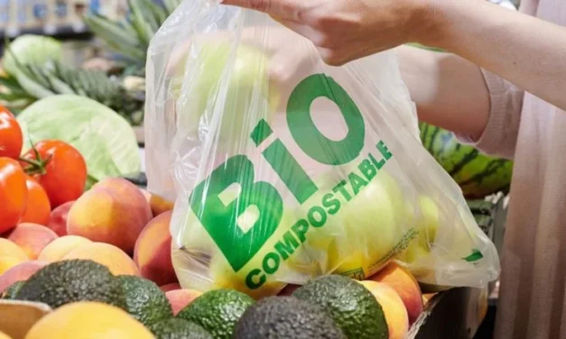 Bolsas compostables, el futuro de la gestión de residuos sostenibles