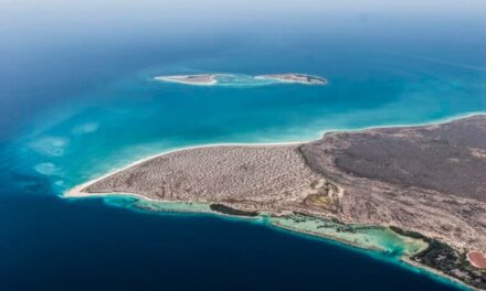 Isla La Tortuga, el proyecto turístico más ambicioso de Venezuela