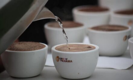 El café de Panamá, el más caro del mundo, tendrá subasta millonaria