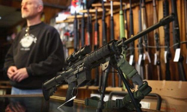 El control de armas, ¿detendrá la violencia?